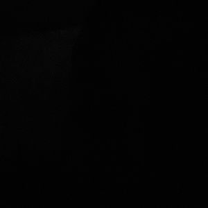 Meet your Posher, Deandra